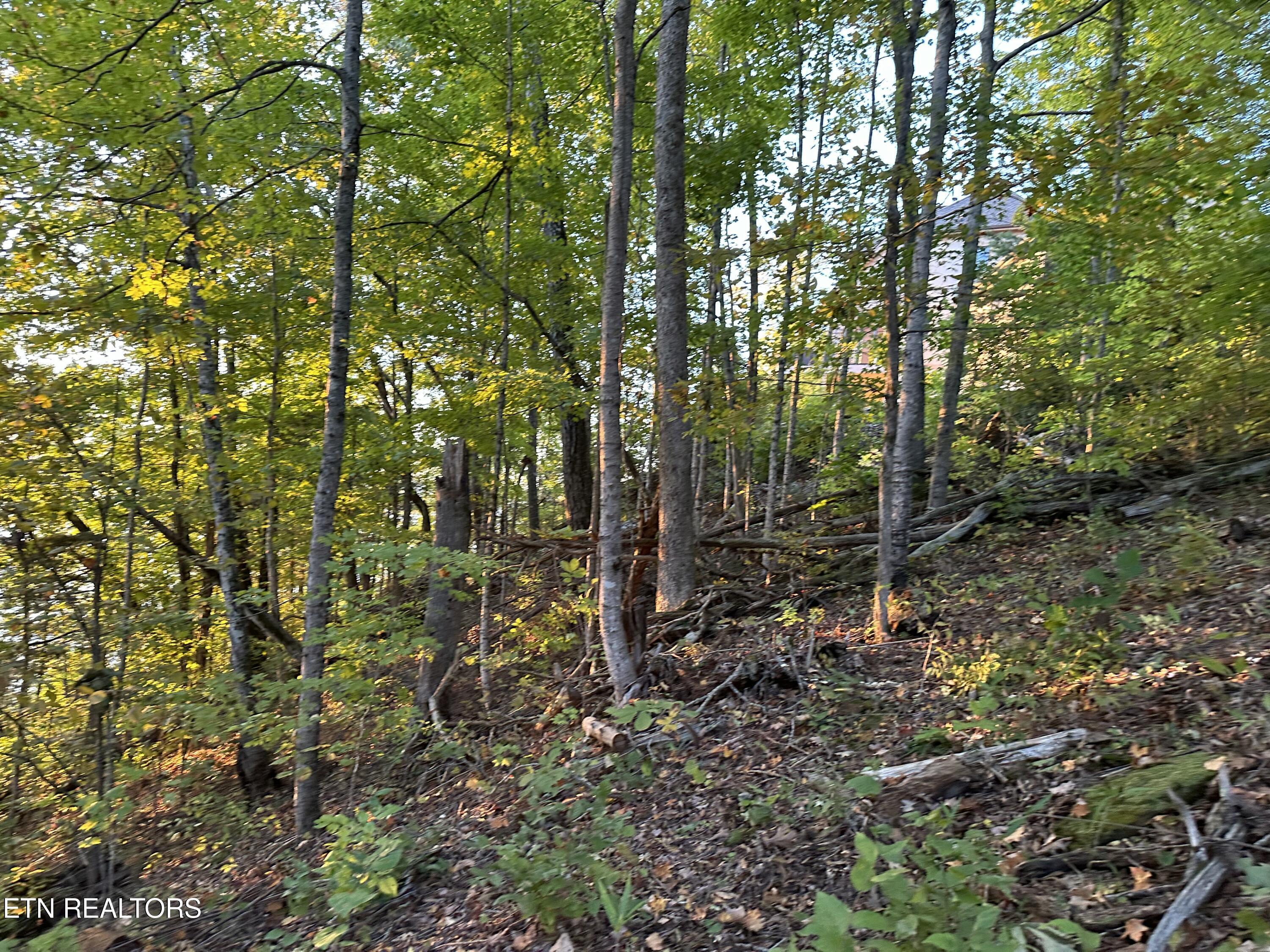 Lot 778 Russell Brothers Rd, Sharps Chapel, TN - Norris Lake Real Estate - Image# 14