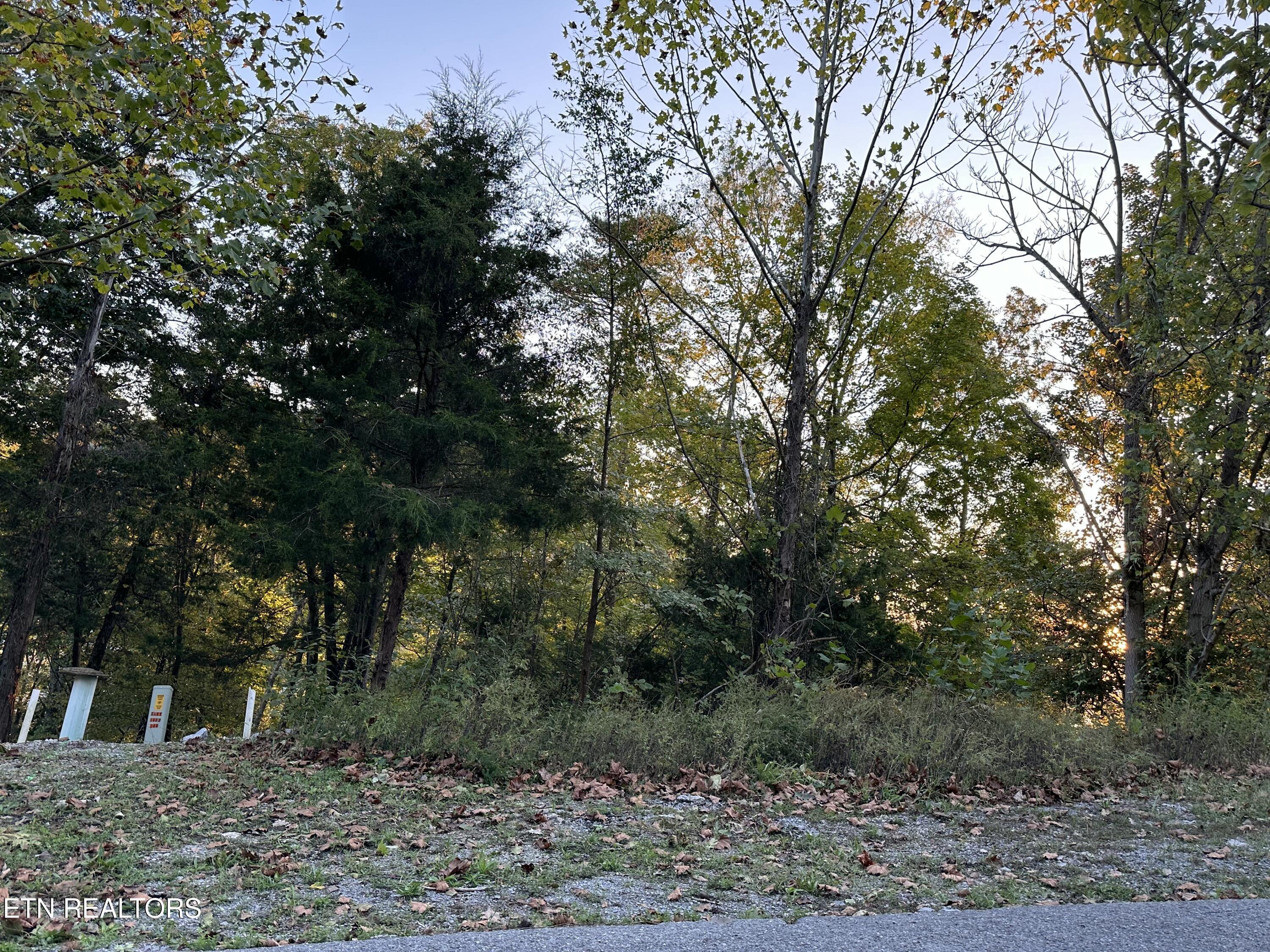 Lot 778 Russell Brothers Rd, Sharps Chapel, TN - Norris Lake Real Estate - Image# 23