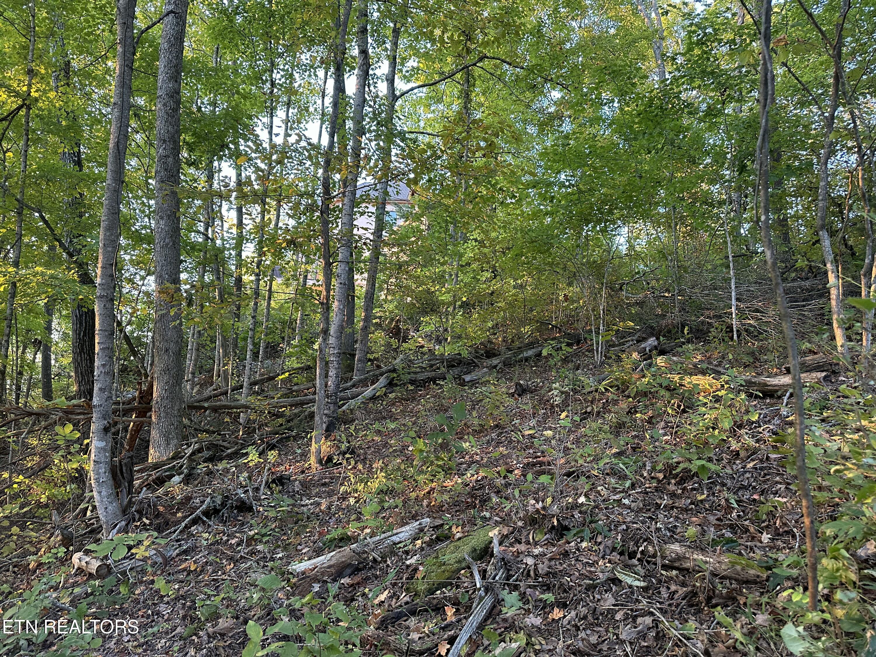 Lot 778 Russell Brothers Rd, Sharps Chapel, TN - Norris Lake Real Estate - Image# 15