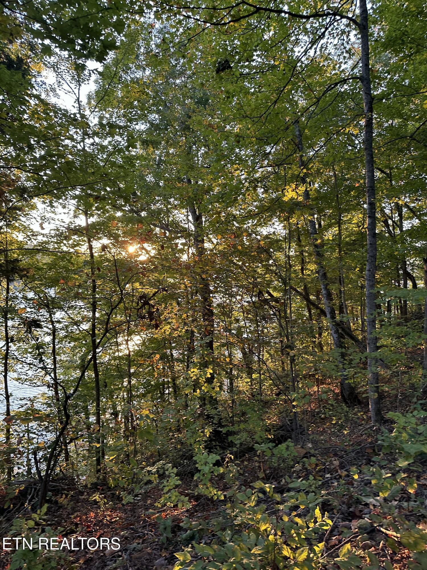 Lot 778 Russell Brothers Rd, Sharps Chapel, TN - Norris Lake Real Estate - Image# 19