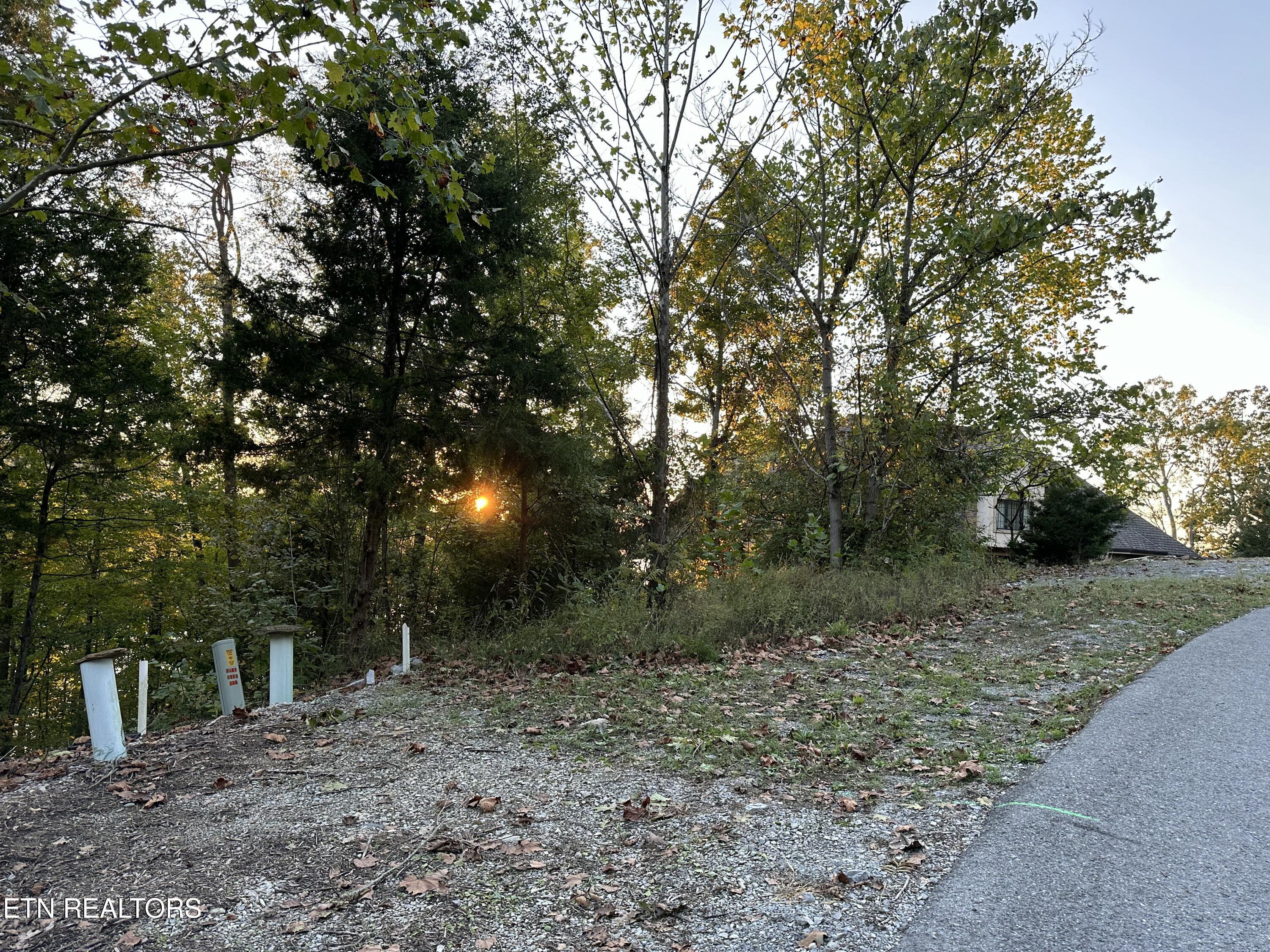 Lot 778 Russell Brothers Rd, Sharps Chapel, TN - Norris Lake Real Estate - Image# 24