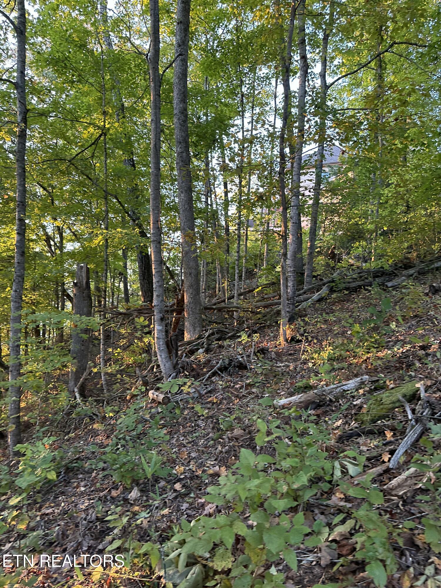 Lot 778 Russell Brothers Rd, Sharps Chapel, TN - Norris Lake Real Estate - Image# 20