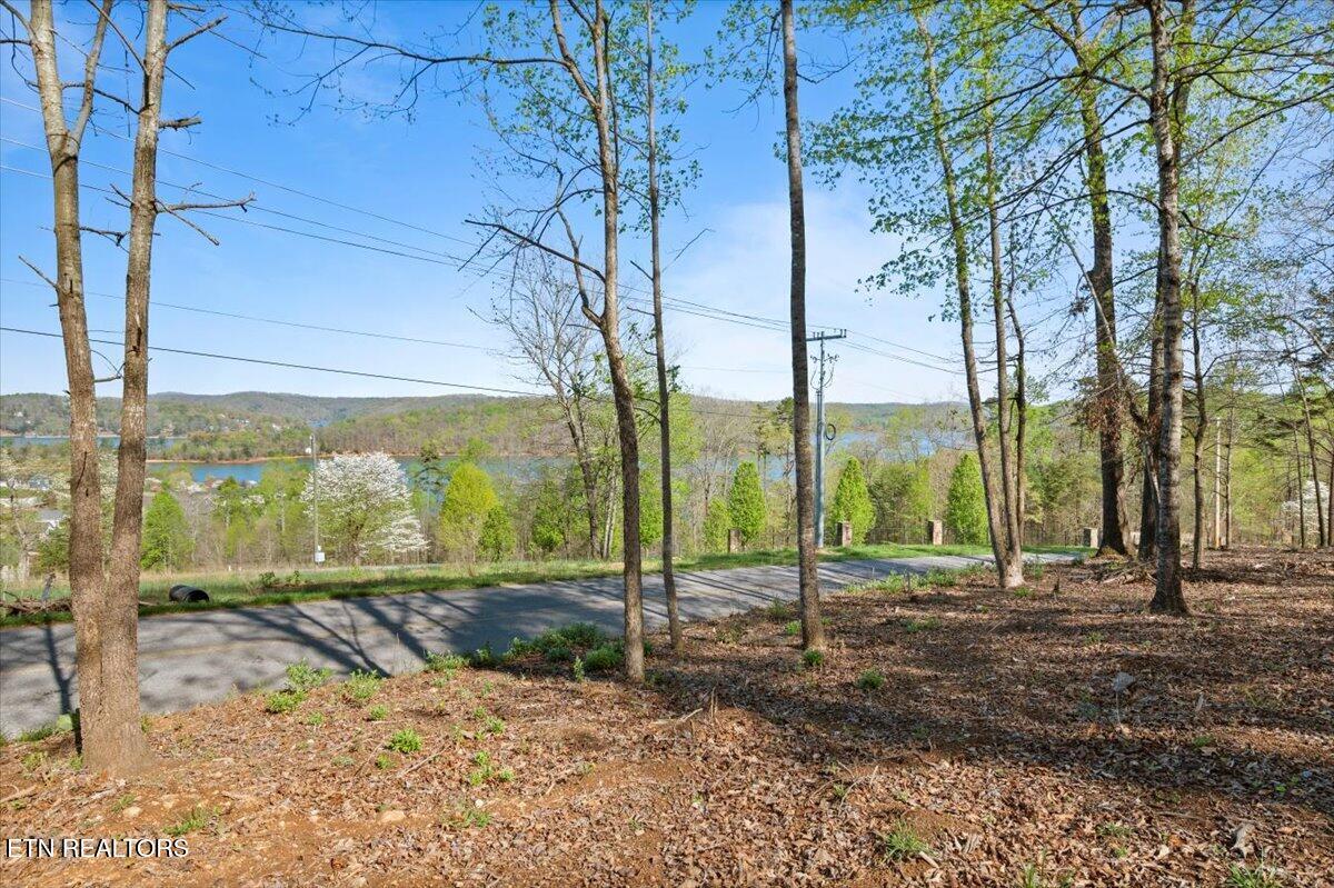 Norris Lake Real Estate - Image# 4