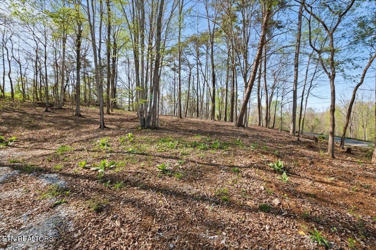 Norris Lake Real Estate - Image# 6