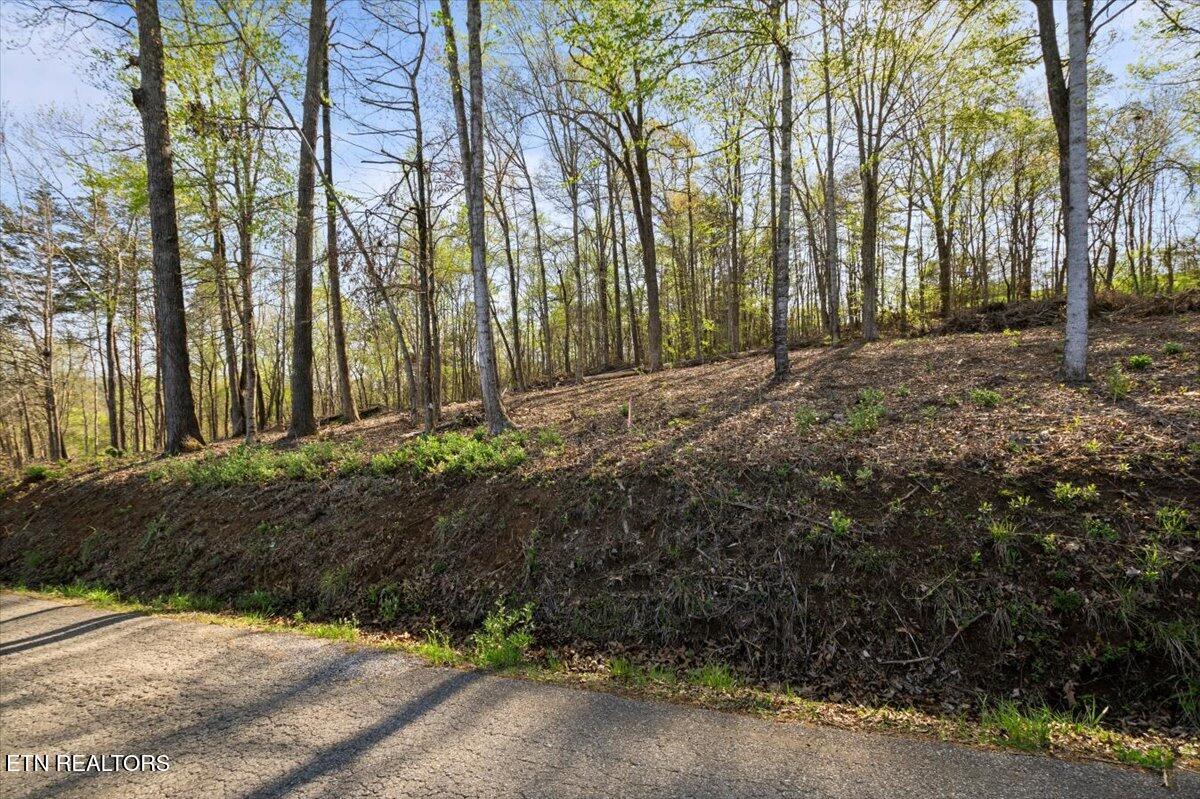 Norris Lake Real Estate - Image# 11