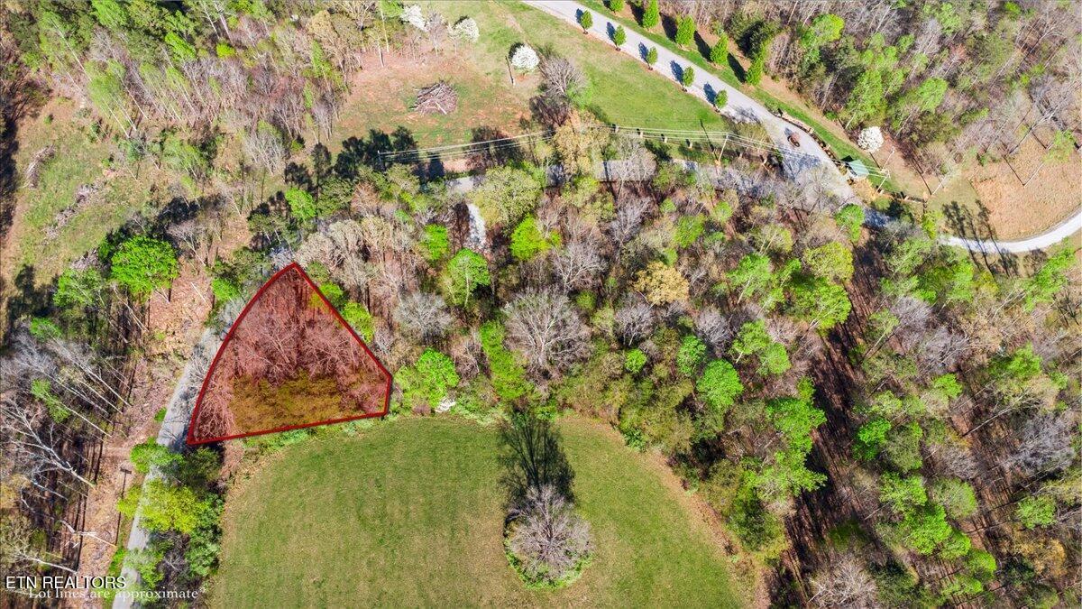 Norris Lake Real Estate - Image# 14