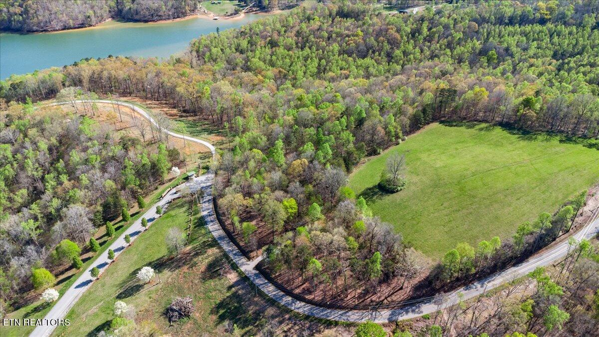 Norris Lake Real Estate - Image# 2