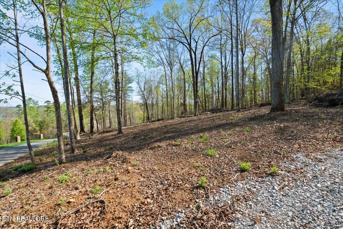 Norris Lake Real Estate - Image# 5