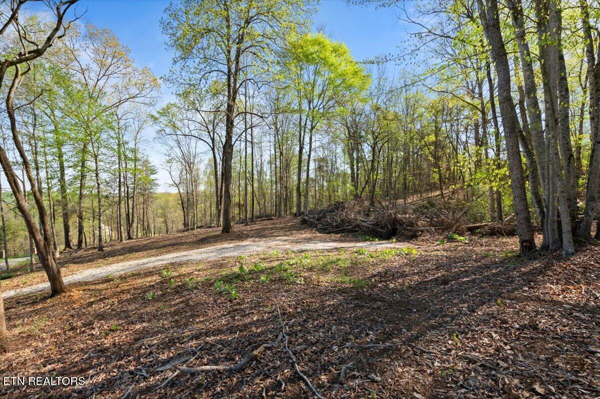 Norris Lake Real Estate - Image# 8