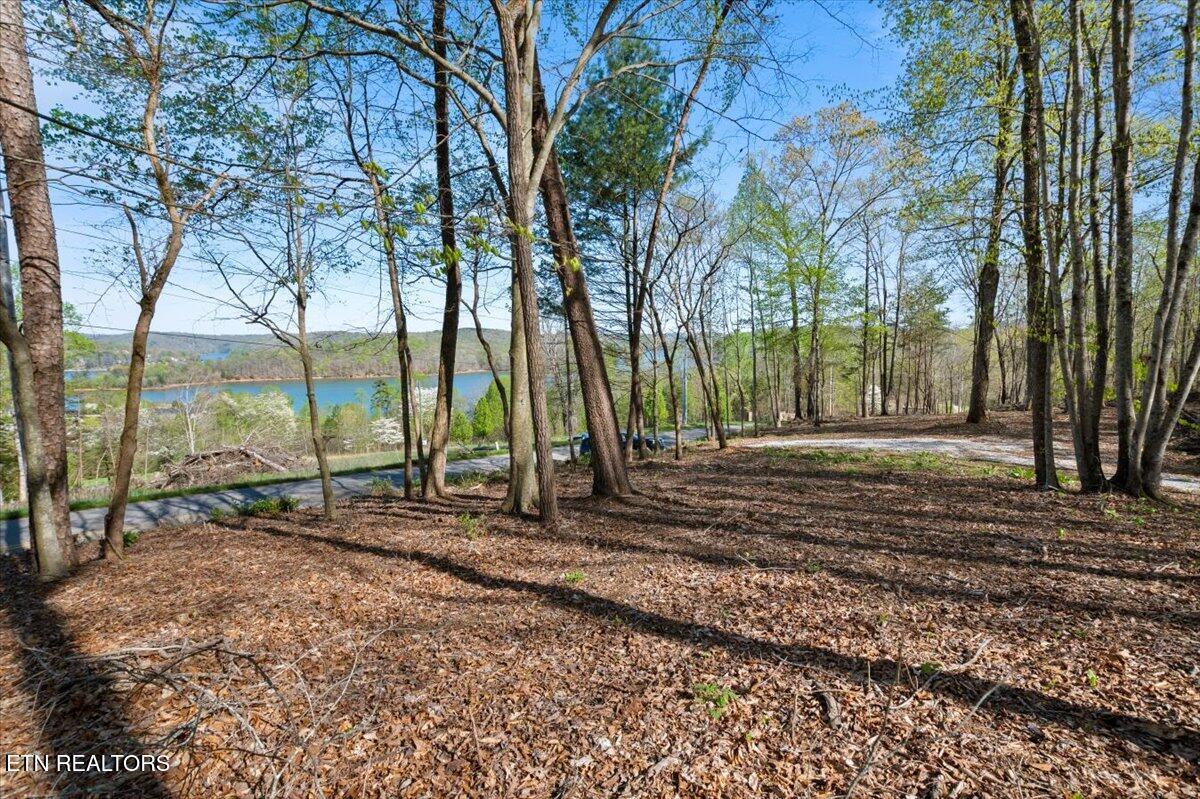 Norris Lake Real Estate - Image# 9