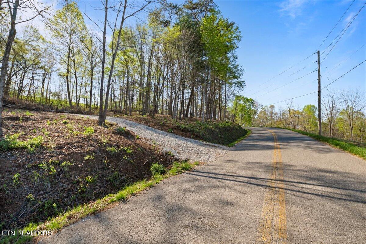 Norris Lake Real Estate - Image# 12
