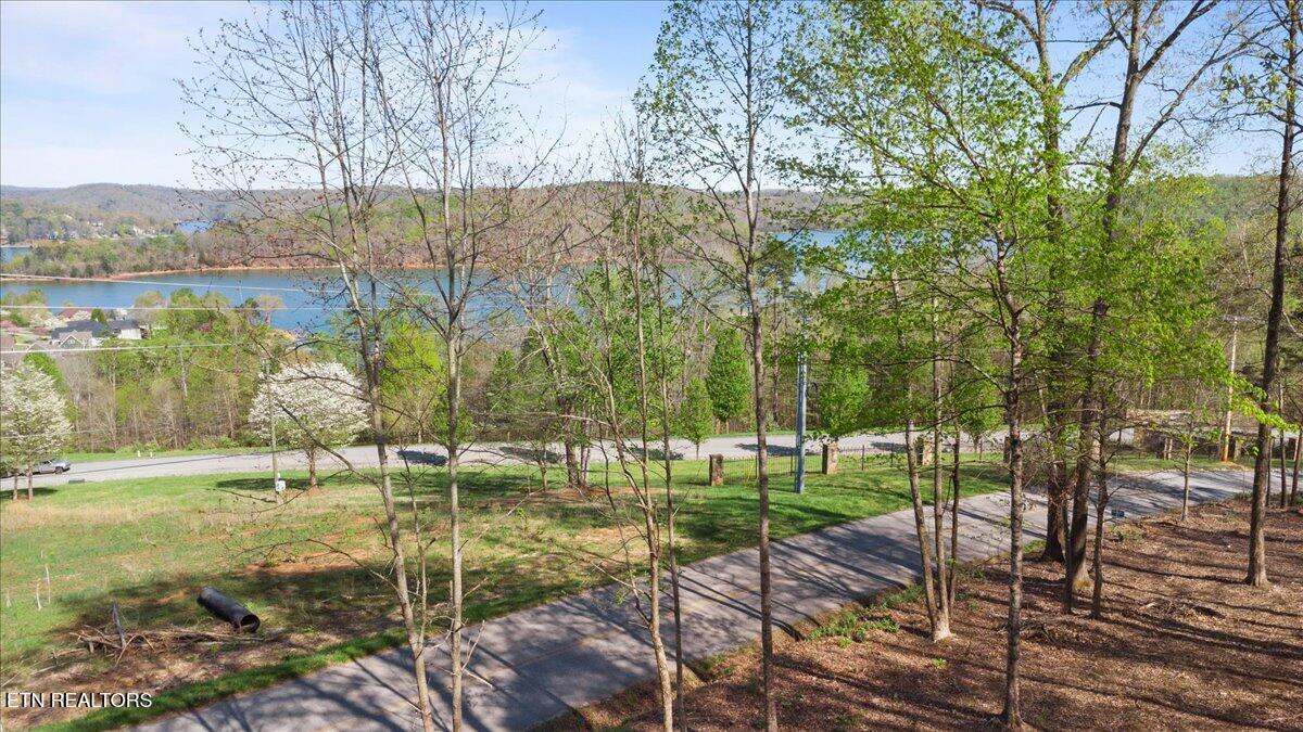 Norris Lake Real Estate - Image# 15