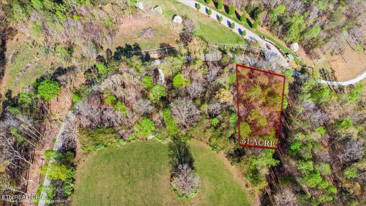 Lot 16 Demory Rd, Lafollette, TN