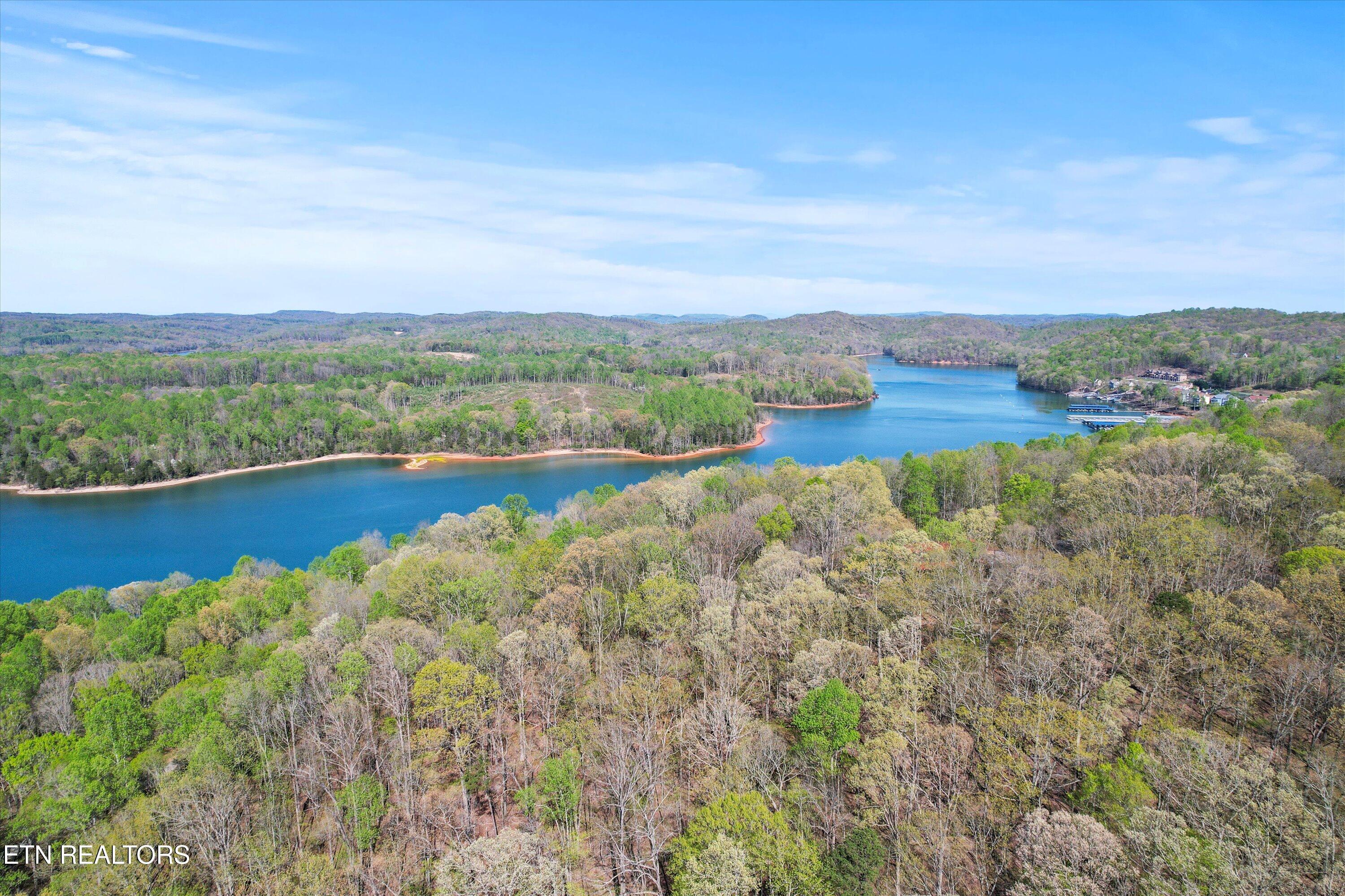 Norris Lake Real Estate - Image# 2