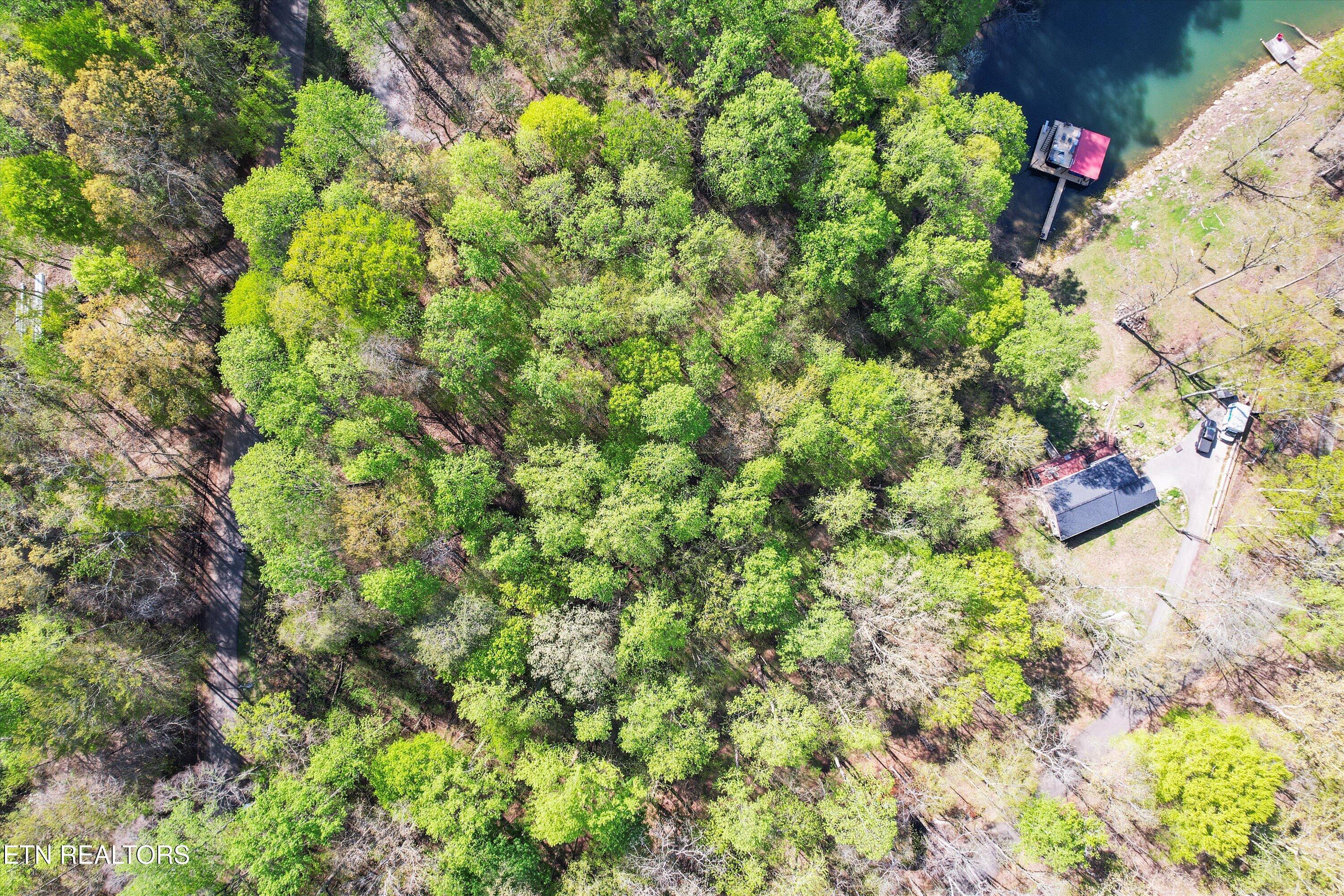 Norris Lake Real Estate - Image# 16