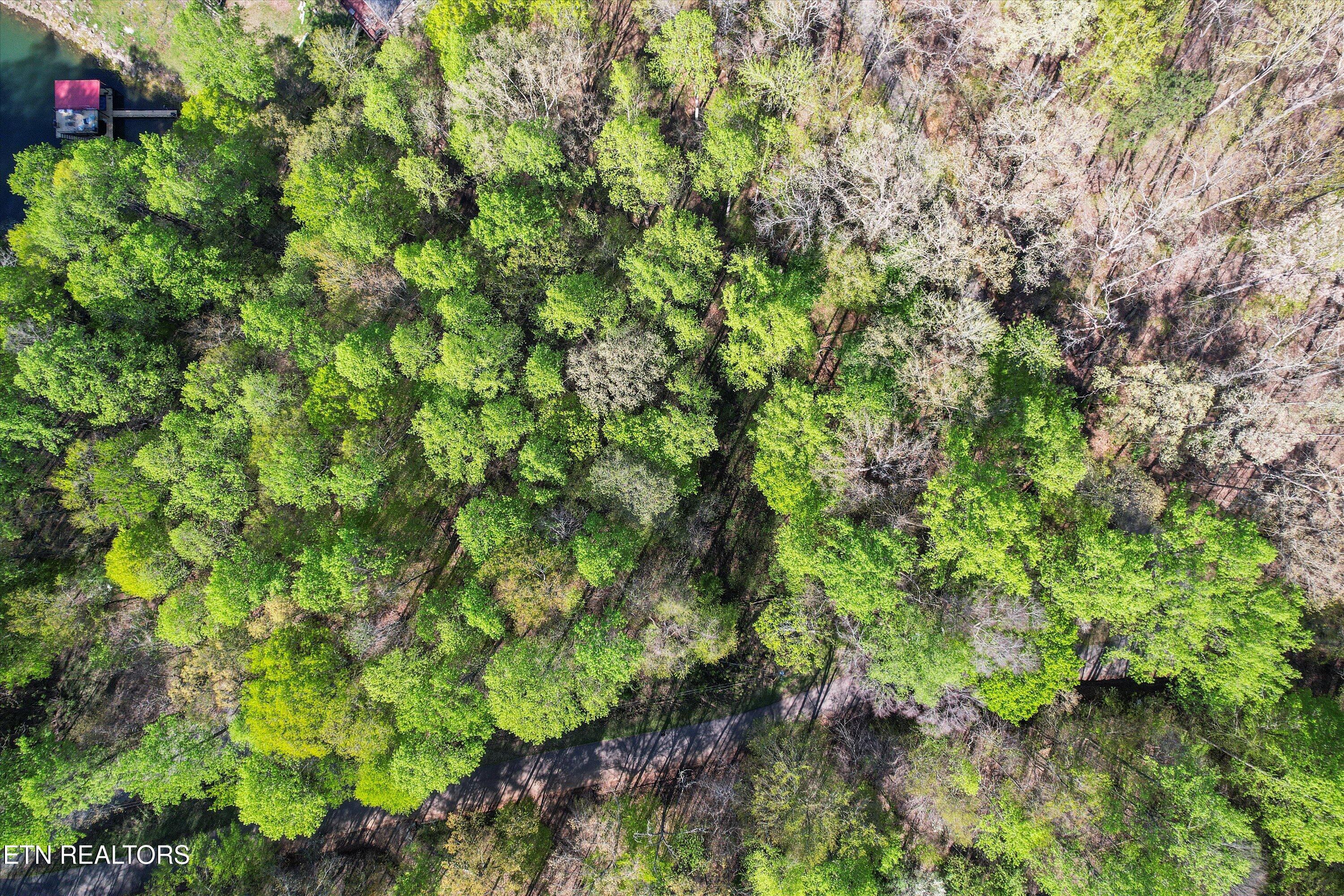 Norris Lake Real Estate - Image# 15