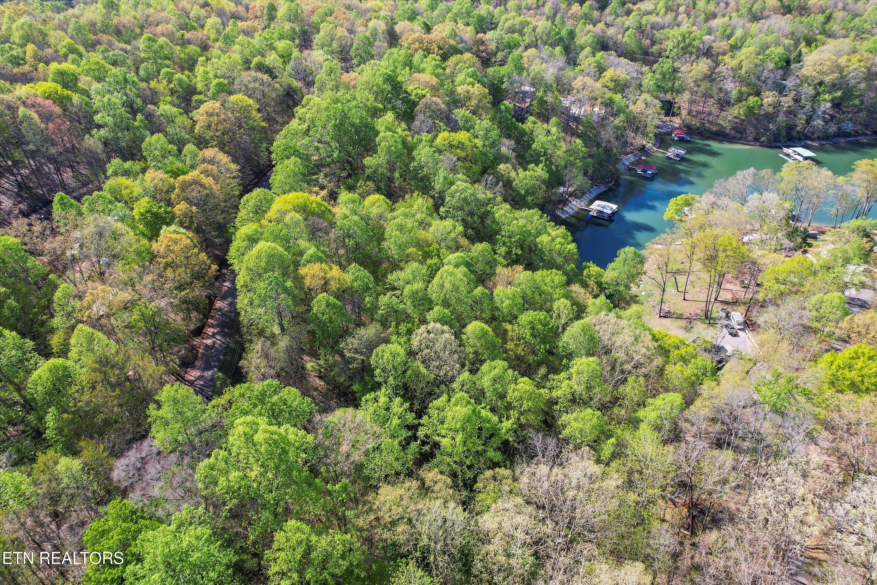 Norris Lake Real Estate - Image# 5