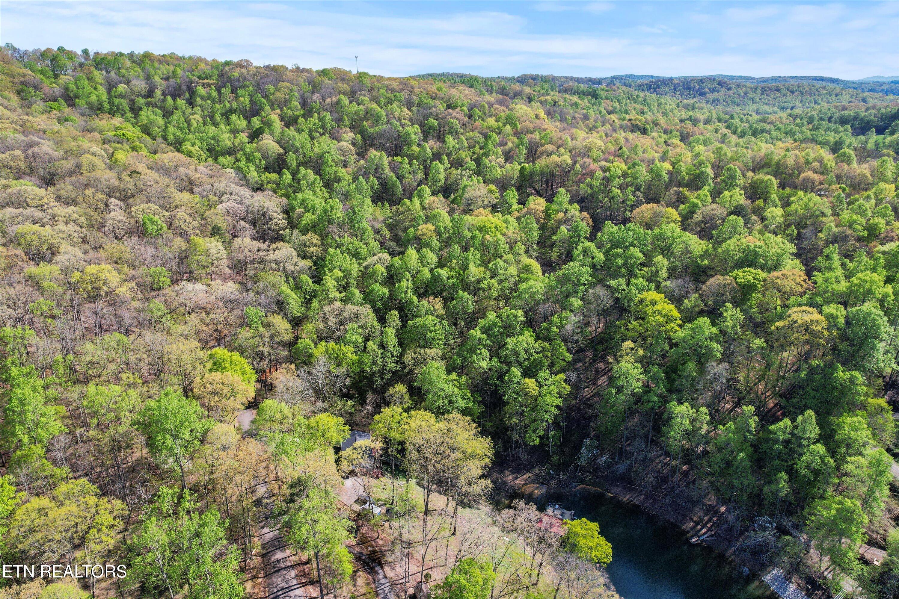 Norris Lake Real Estate - Image# 14