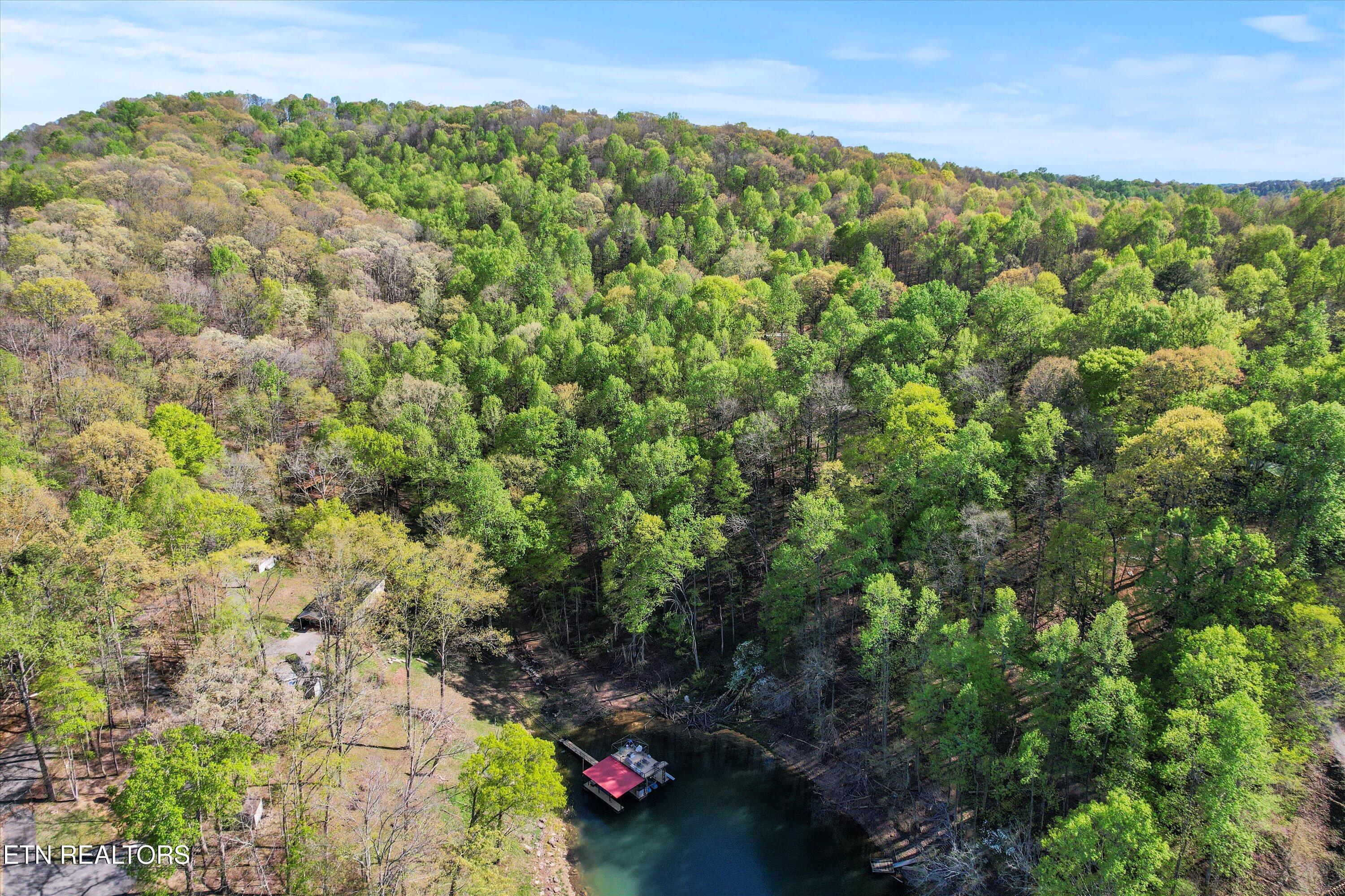 Norris Lake Real Estate - Image# 6
