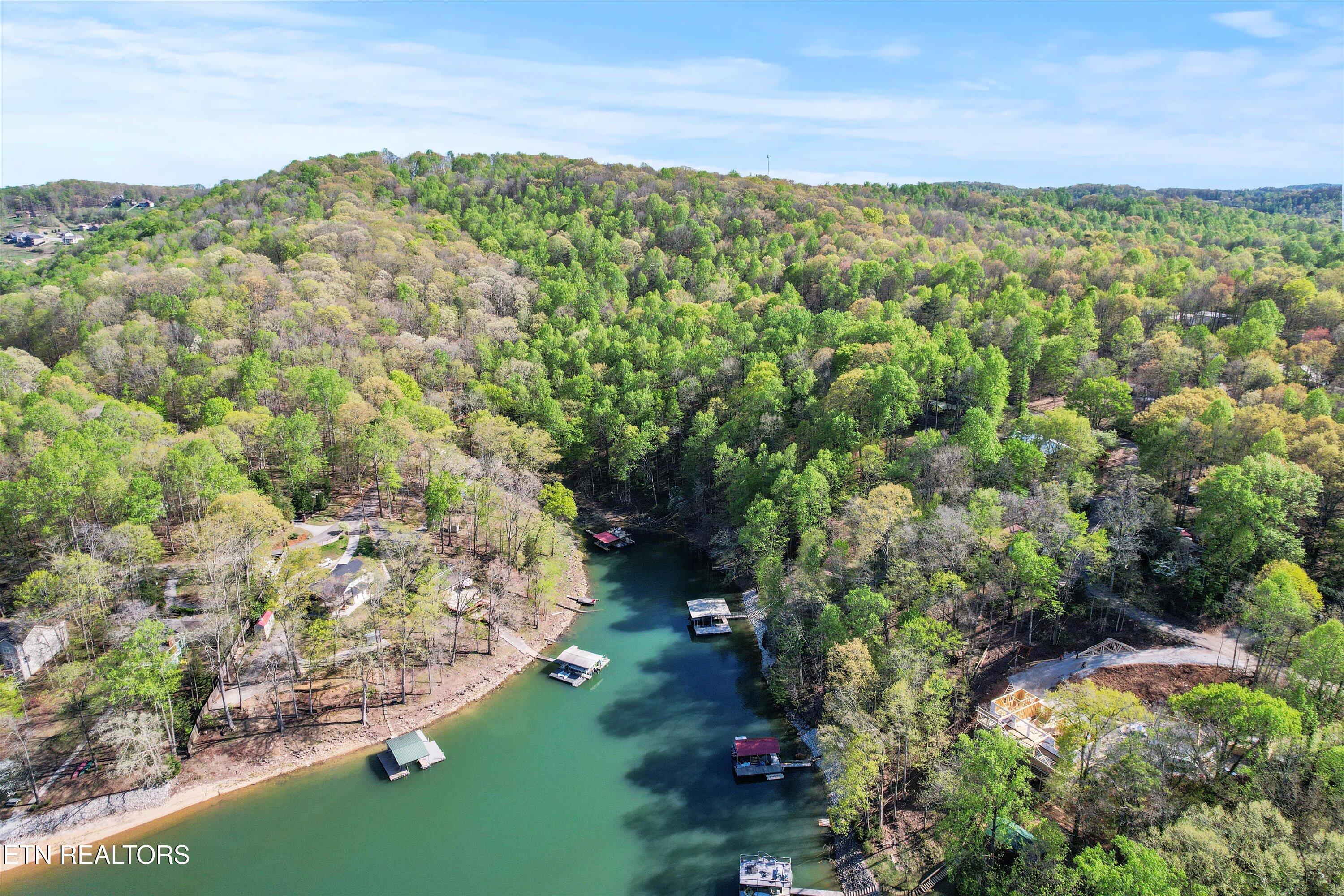 Norris Lake Real Estate - Image# 4