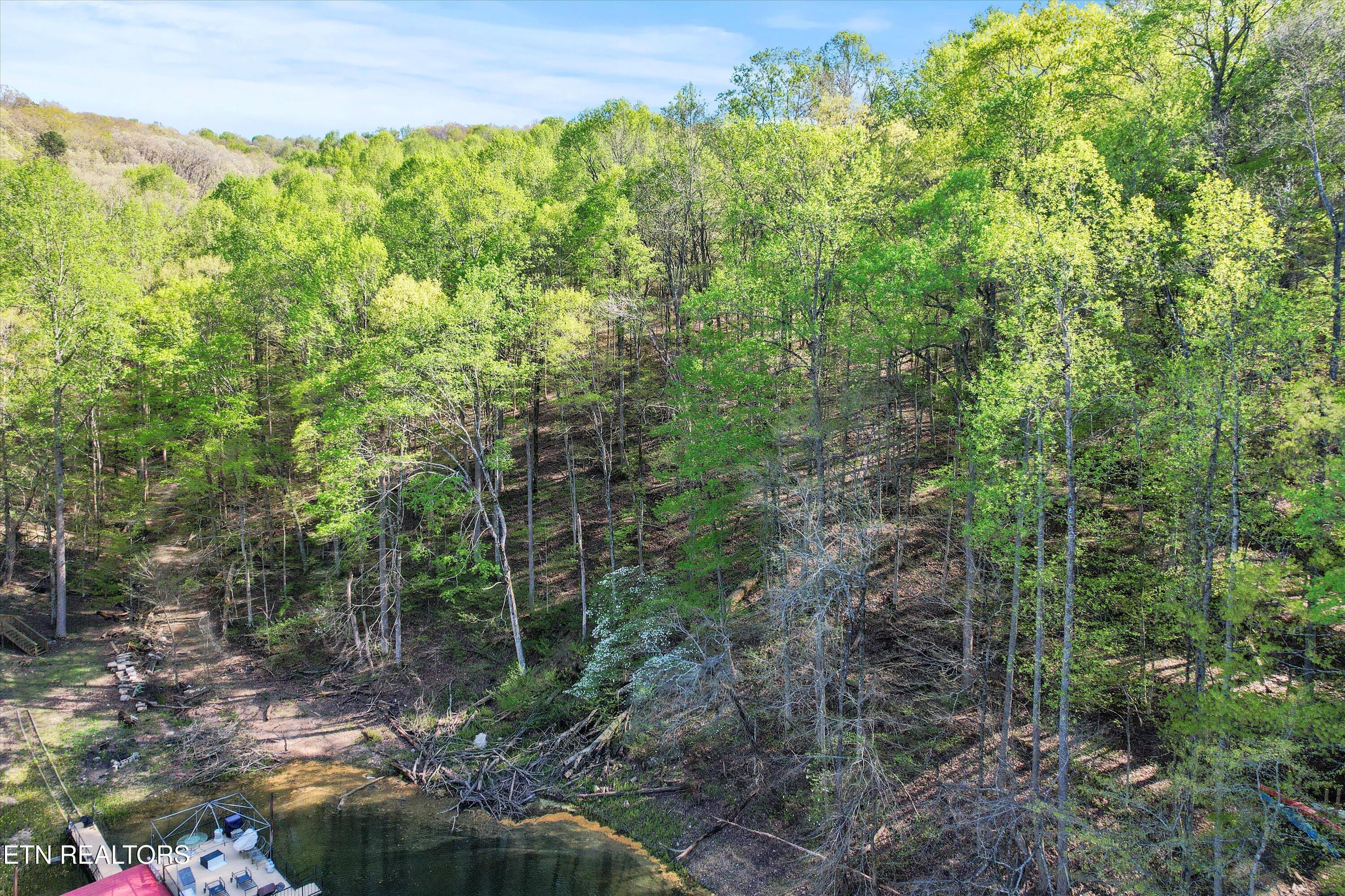 Norris Lake Real Estate - Image# 3