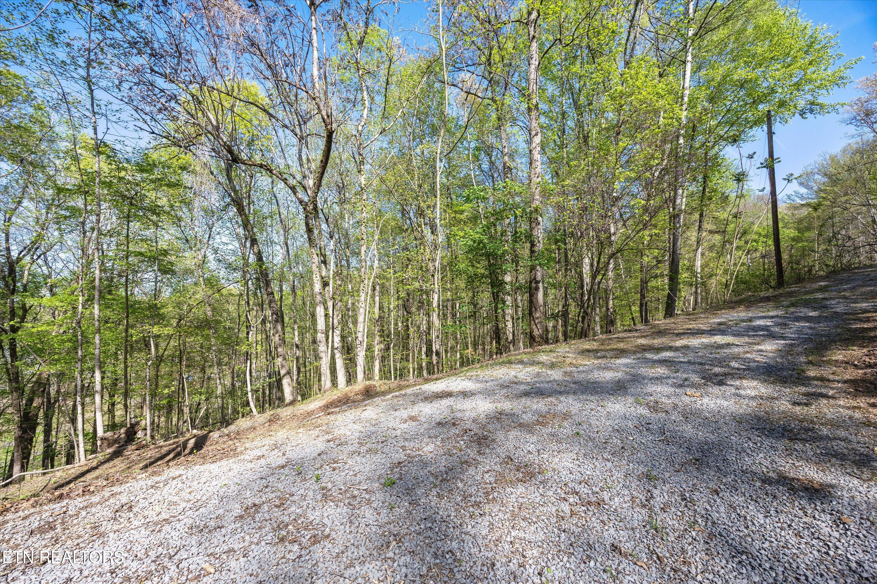 Norris Lake Real Estate - Image# 9
