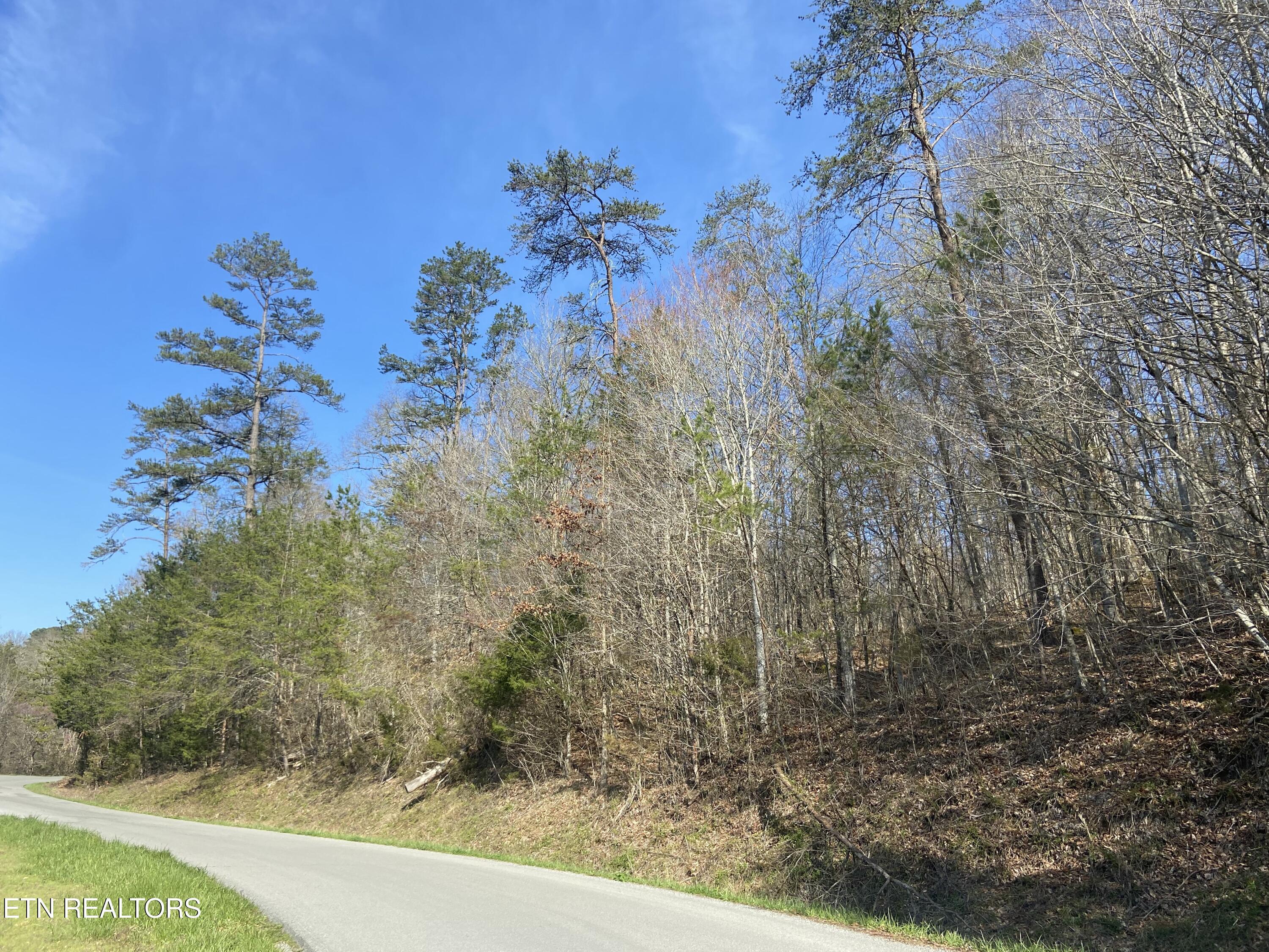 Norris Lake Real Estate - Image# 4