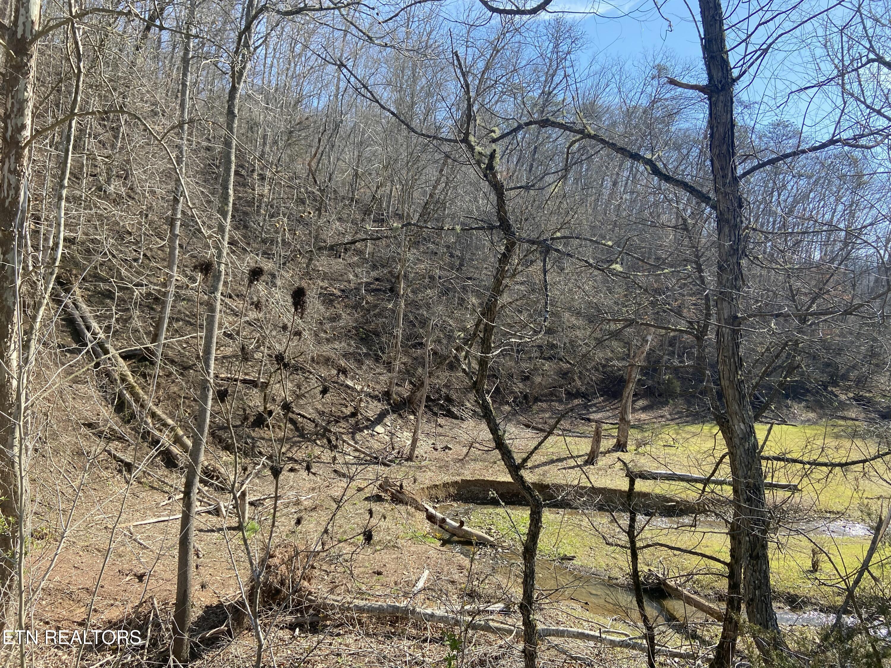 Norris Lake Real Estate - Image# 6