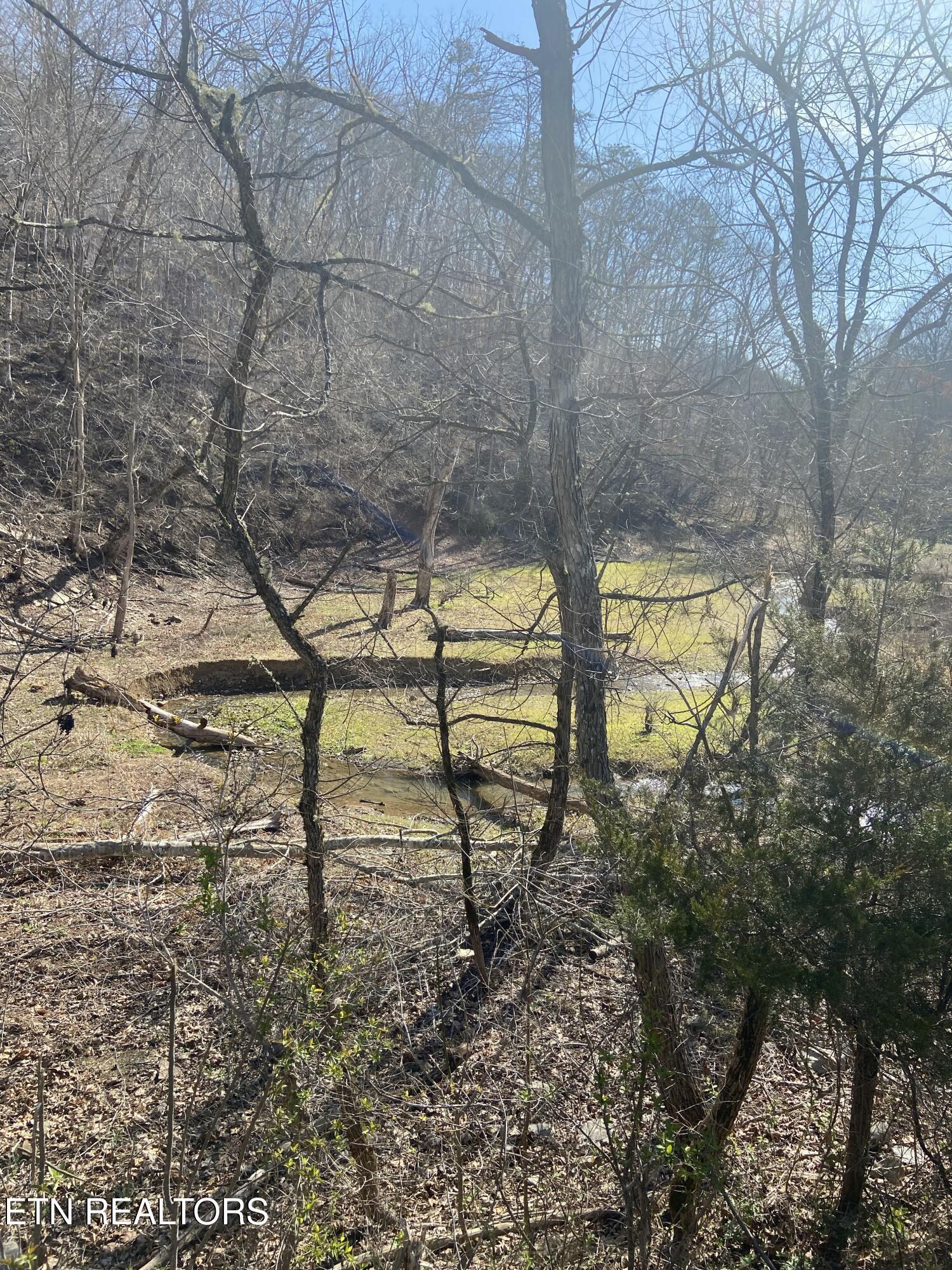 Norris Lake Real Estate - Image# 7