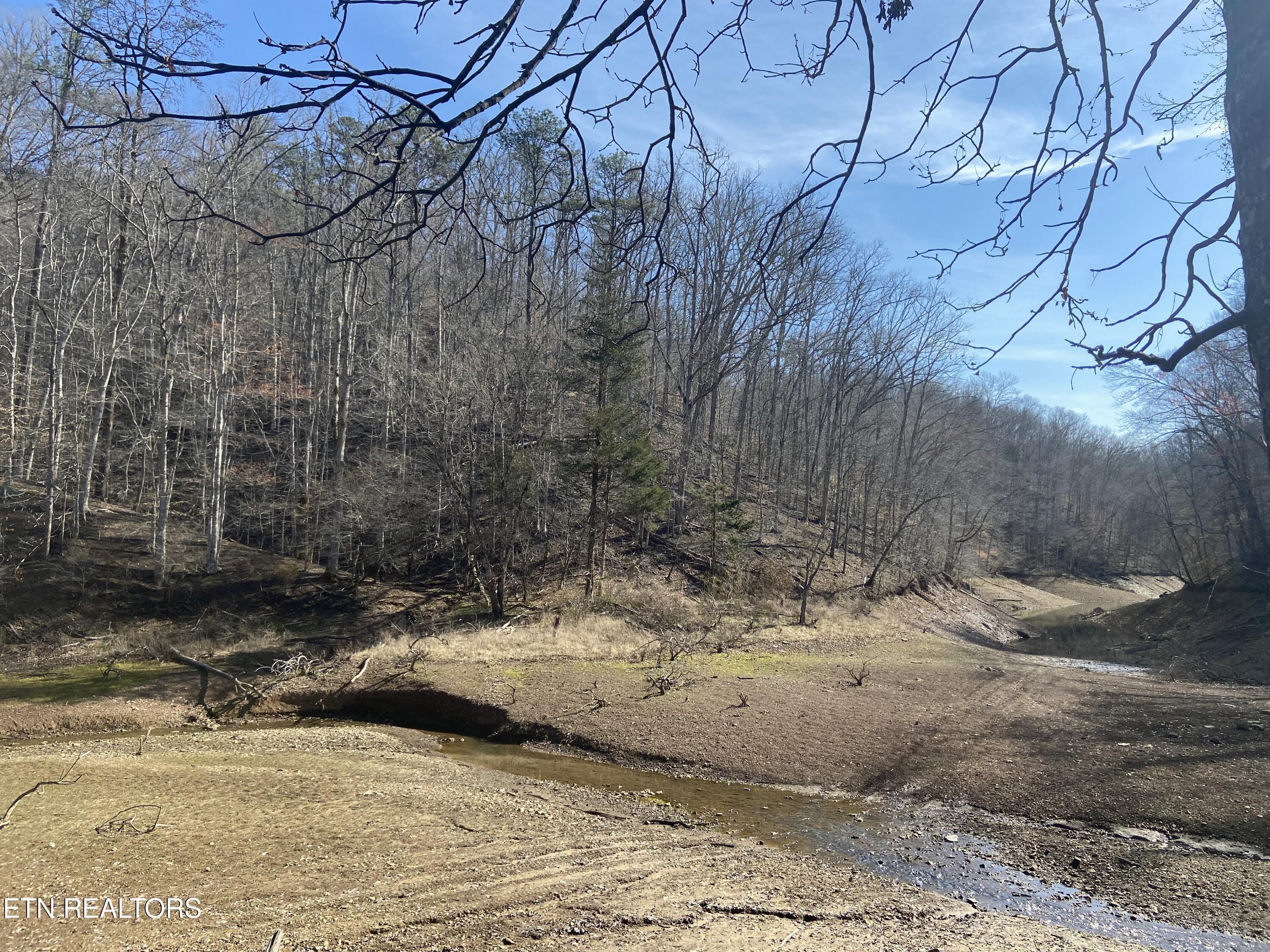 Norris Lake Real Estate - Image# 8