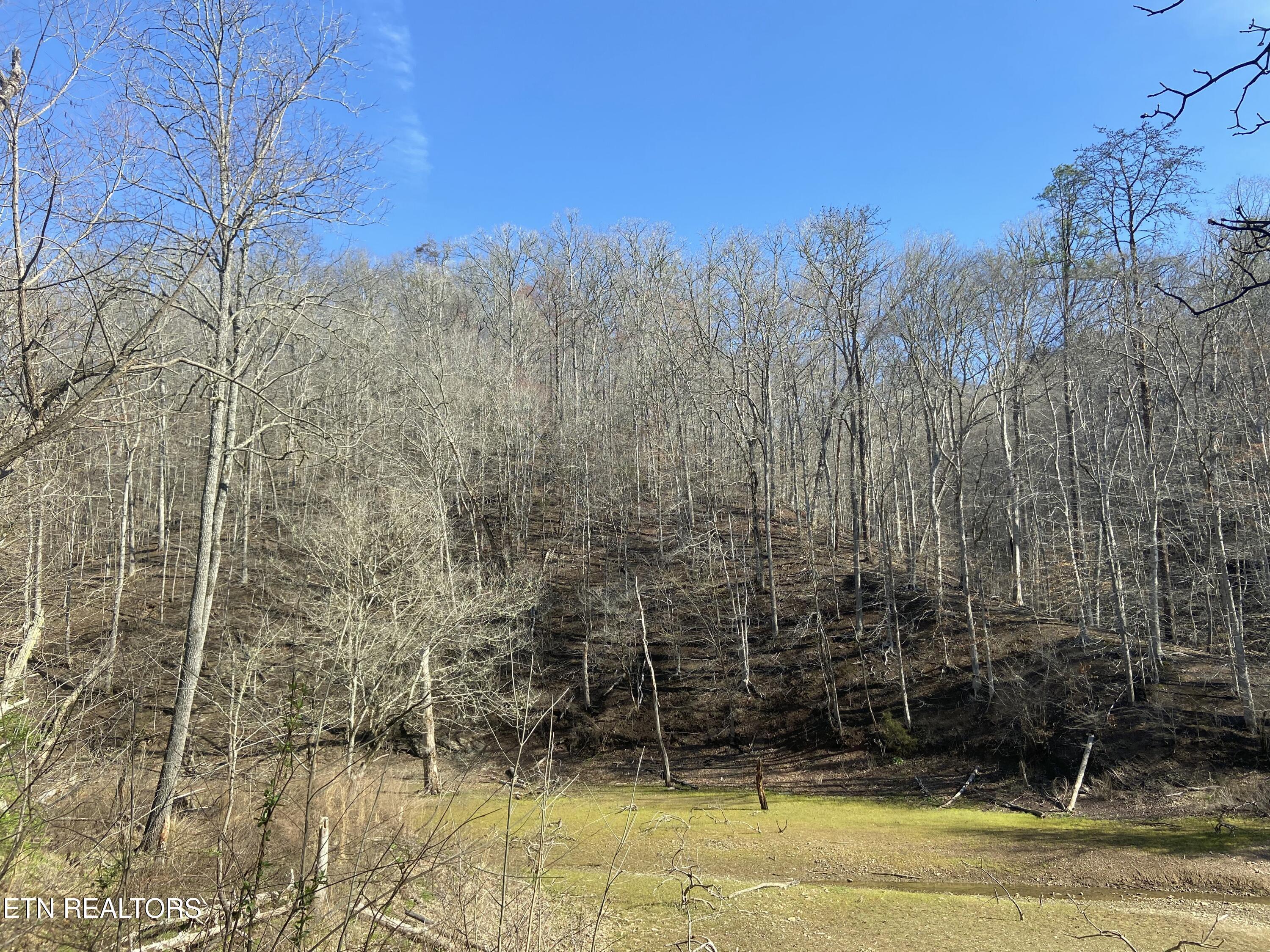 Norris Lake Real Estate - Image# 9