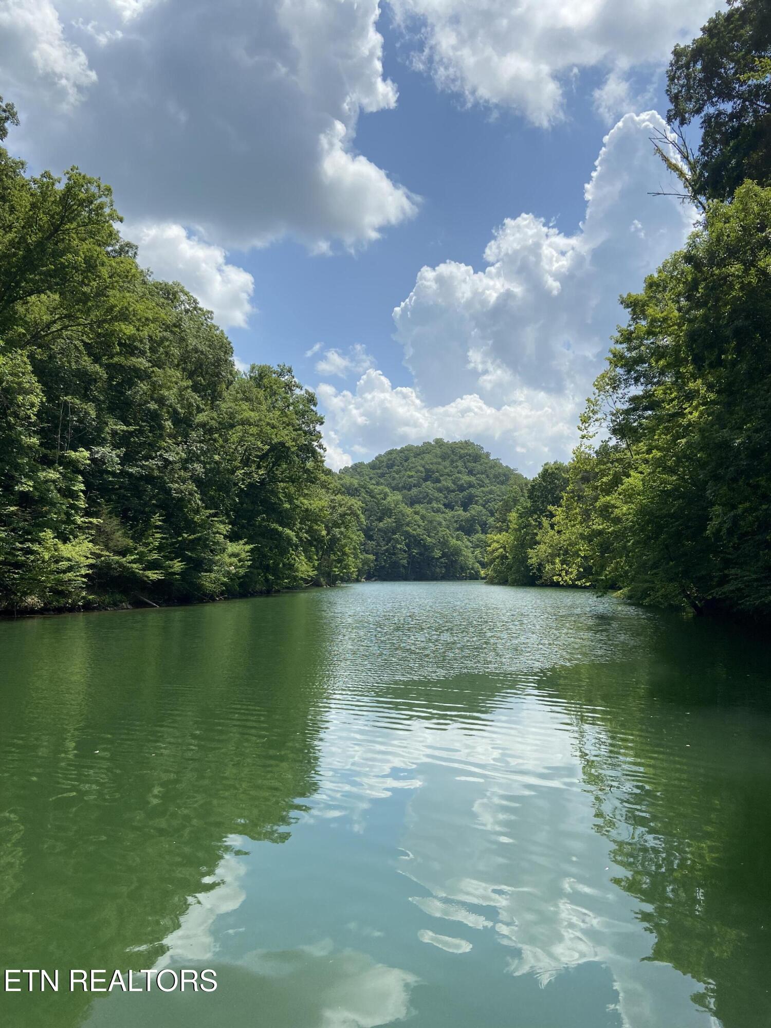 Norris Lake Real Estate - Image# 2