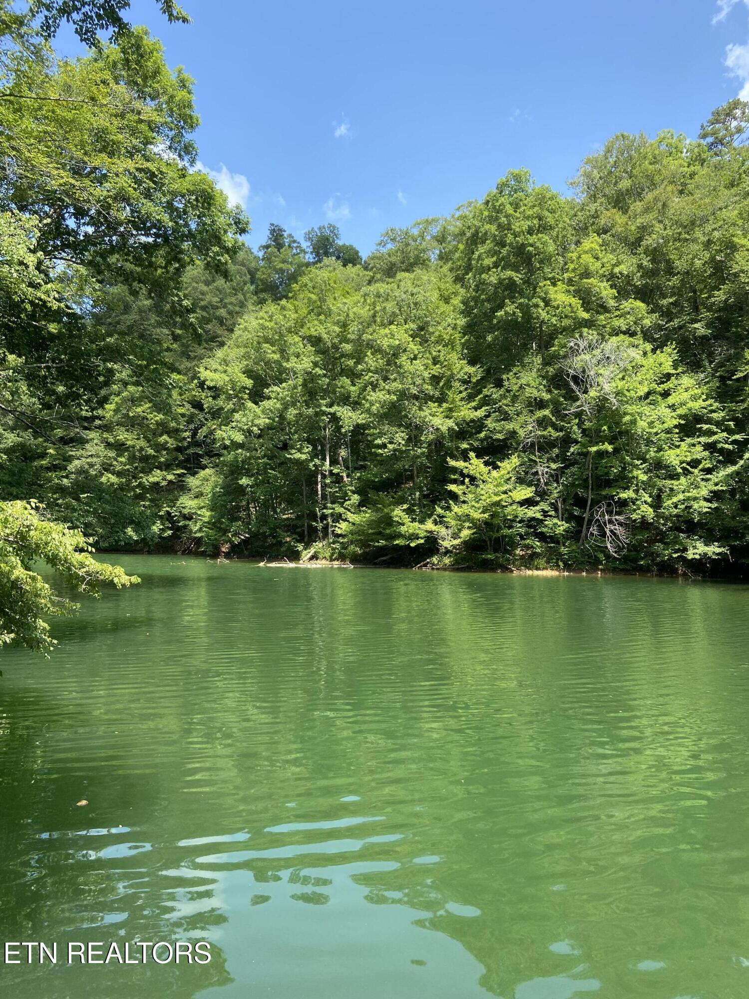 Norris Lake Real Estate - Image# 3