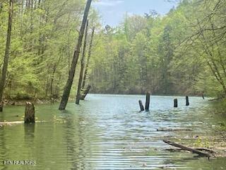 Norris Lake Real Estate - Image# 27
