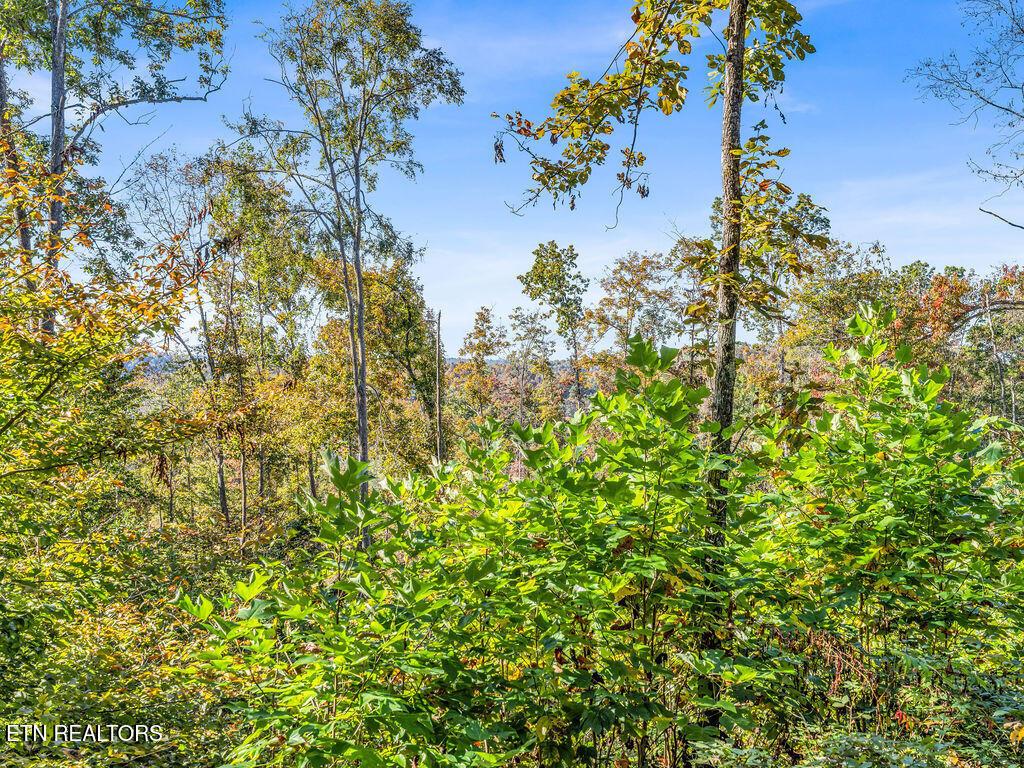 Norris Lake Real Estate - Image# 14