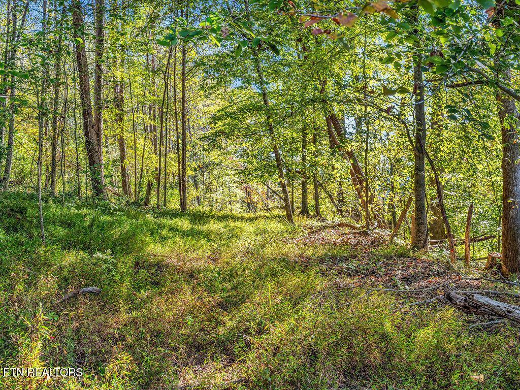 Norris Lake Real Estate - Image# 16