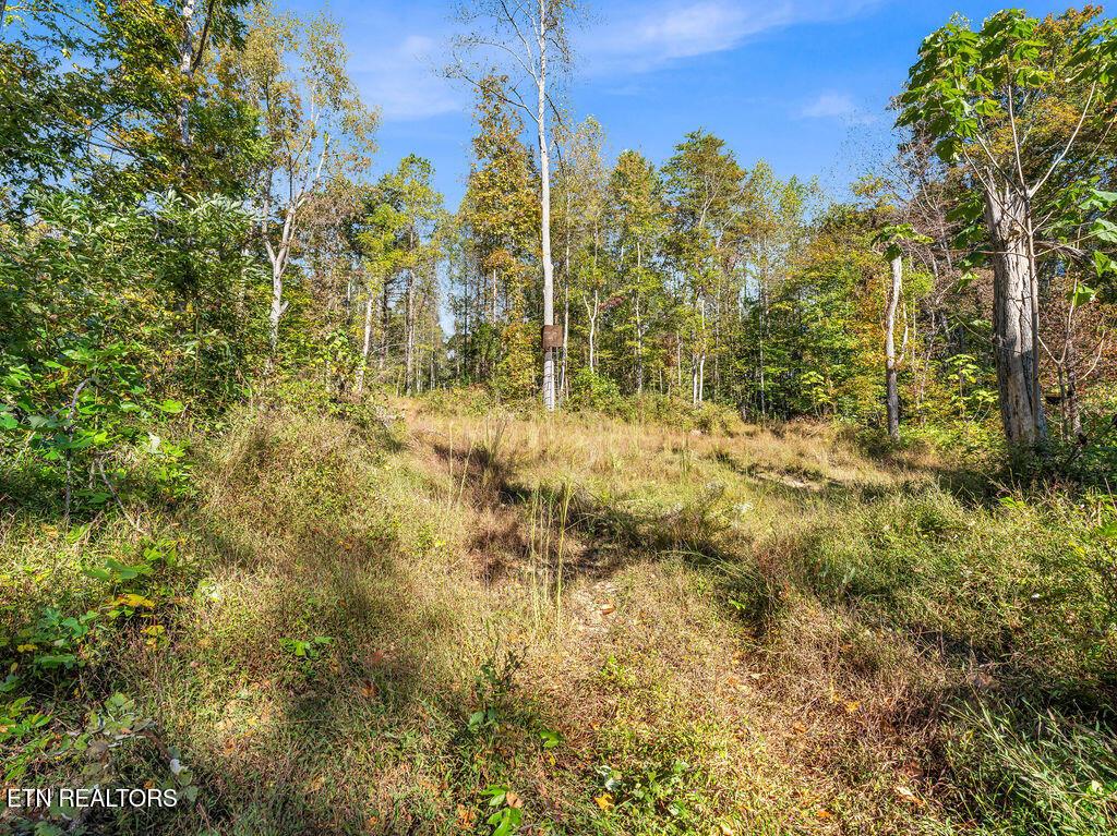 Norris Lake Real Estate - Image# 19