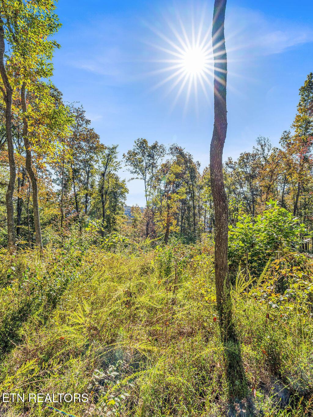 Norris Lake Real Estate - Image# 12
