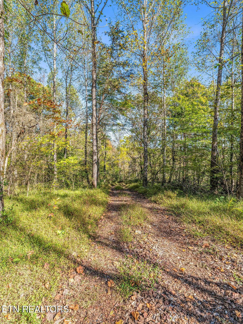Norris Lake Real Estate - Image# 21
