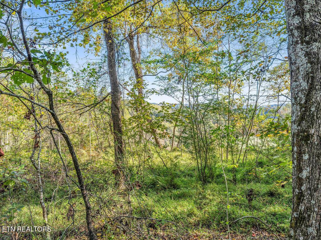 Norris Lake Real Estate - Image# 23