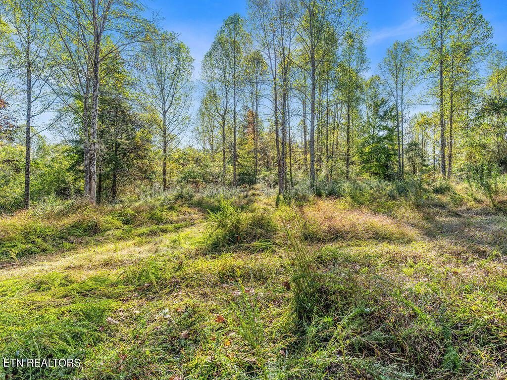 Norris Lake Real Estate - Image# 10