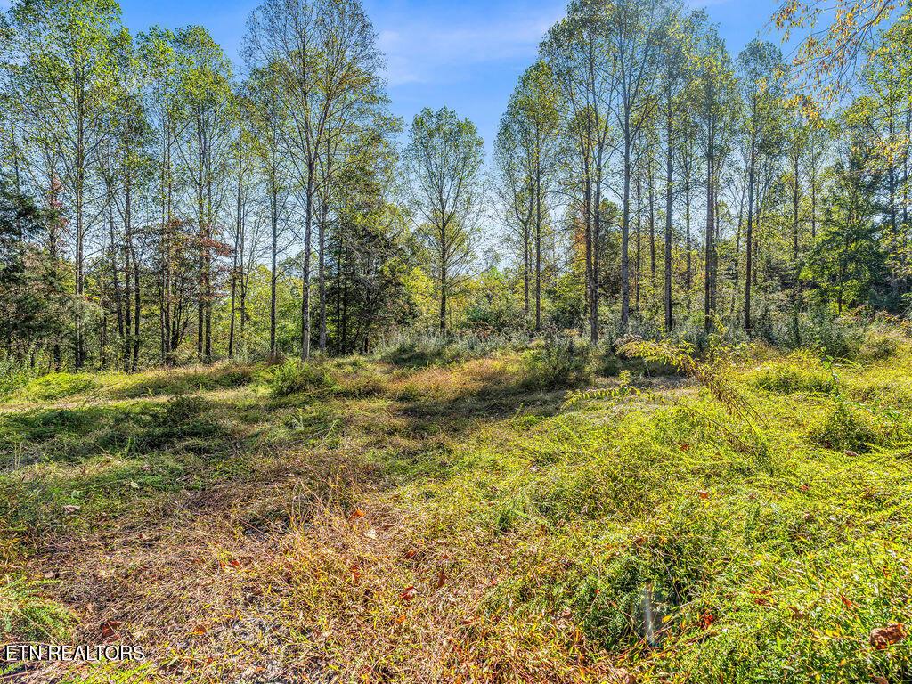 Norris Lake Real Estate - Image# 11
