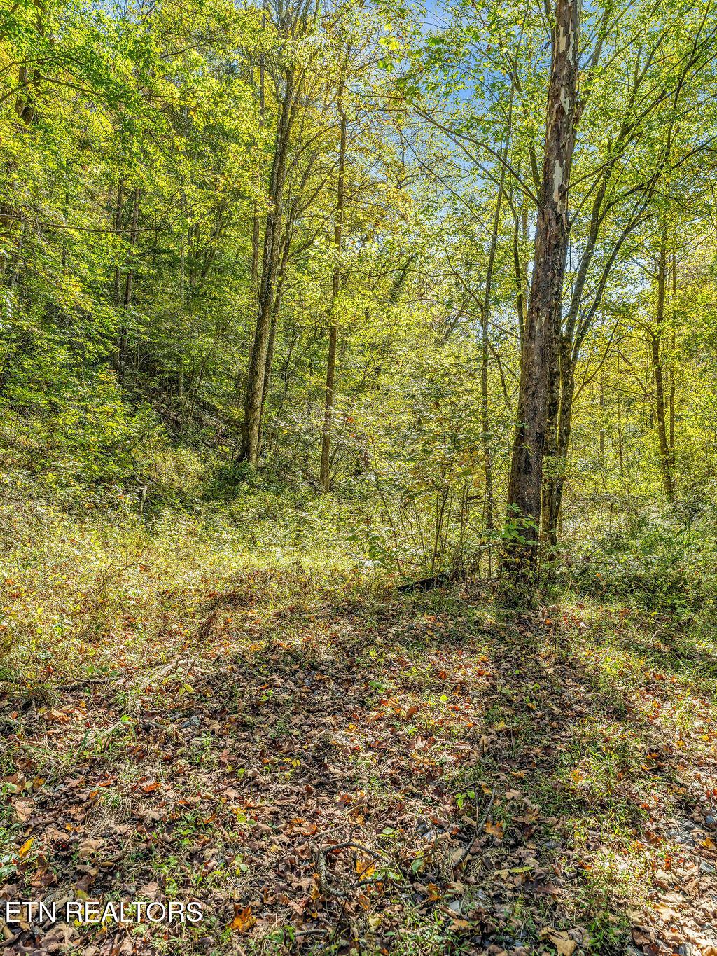 Norris Lake Real Estate - Image# 22