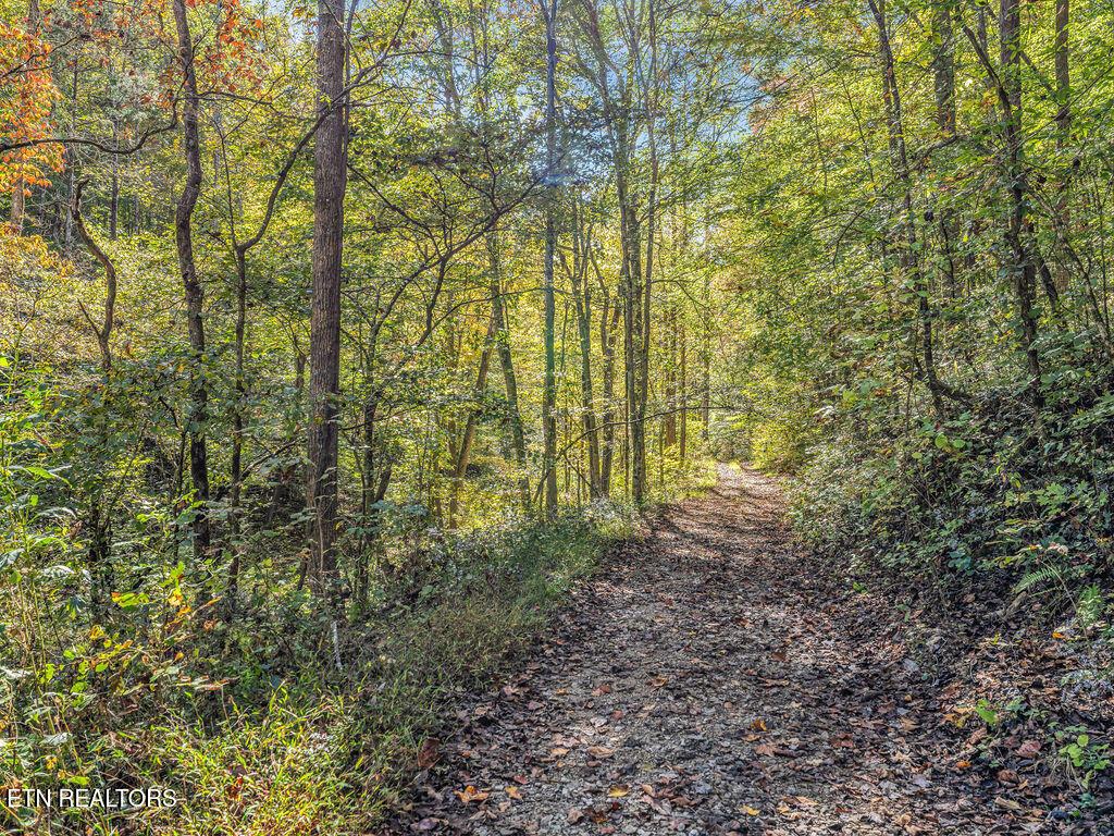 Norris Lake Real Estate - Image# 24