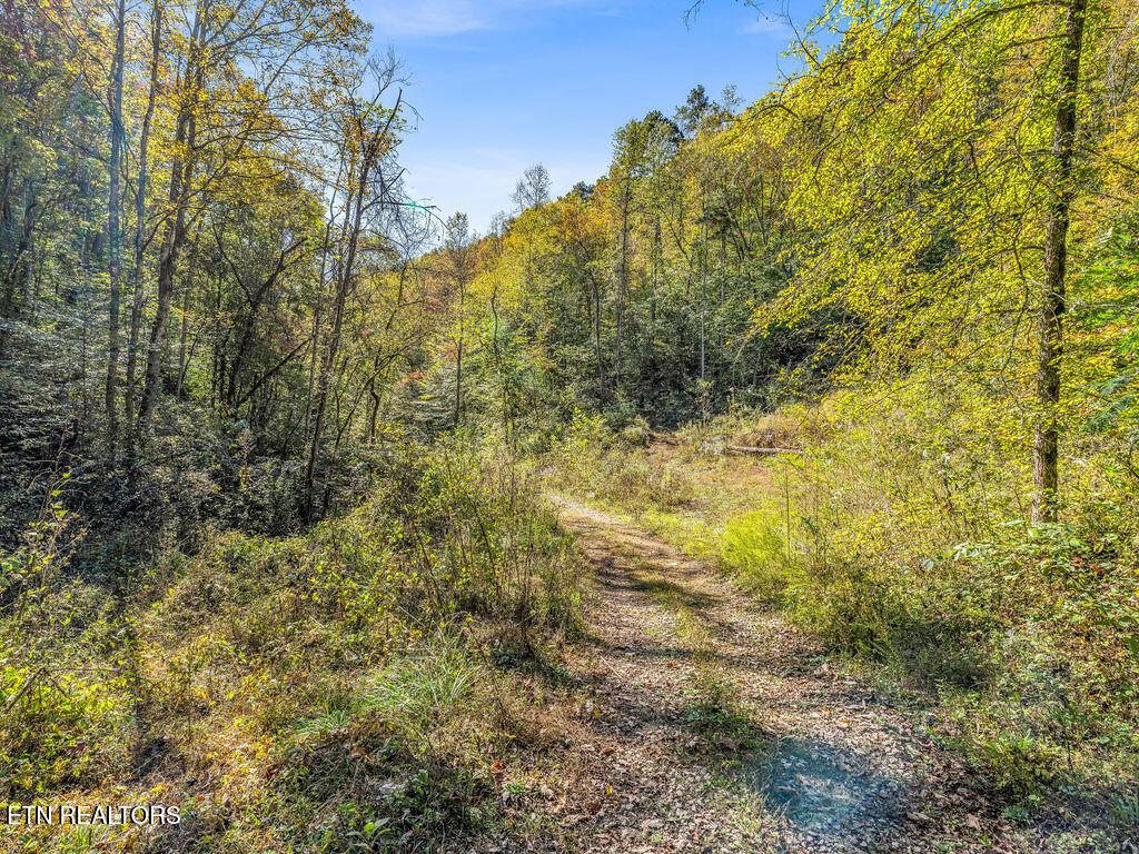 Norris Lake Real Estate - Image# 25