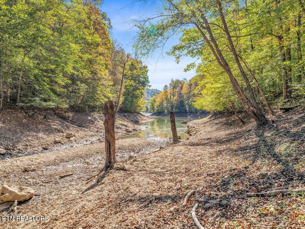 Norris Lake Real Estate - Image# 26