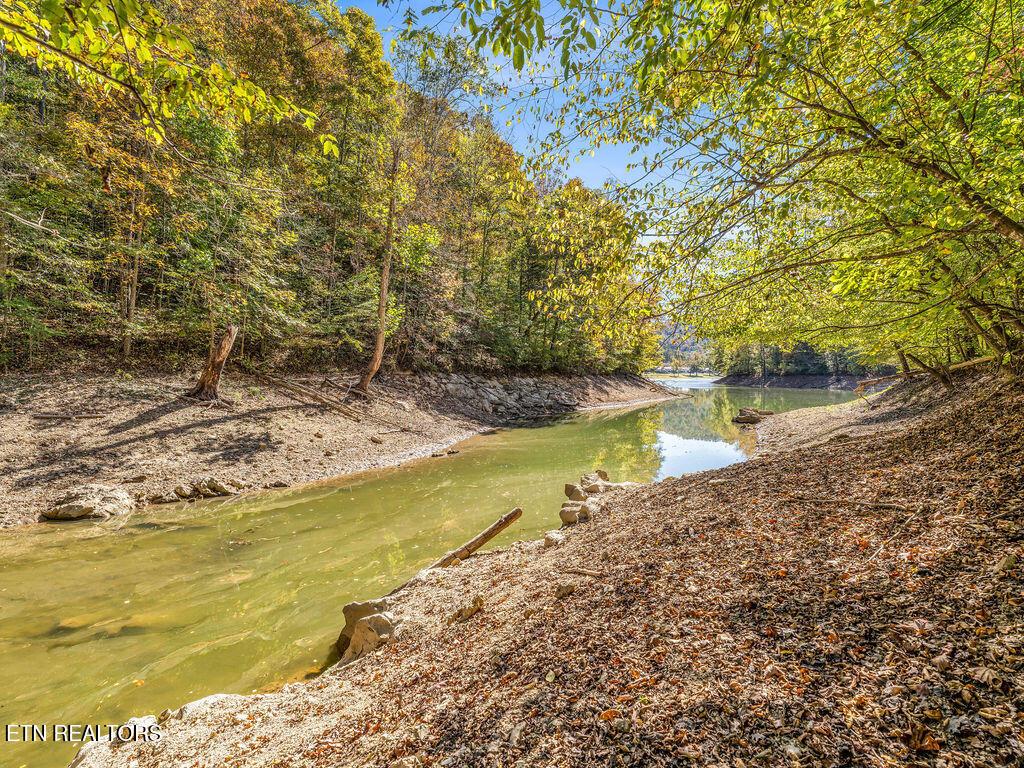 Norris Lake Real Estate - Image# 28