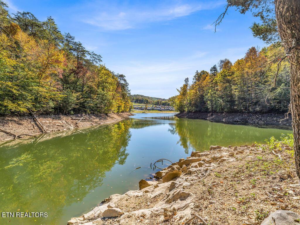 Norris Lake Real Estate - Image# 29