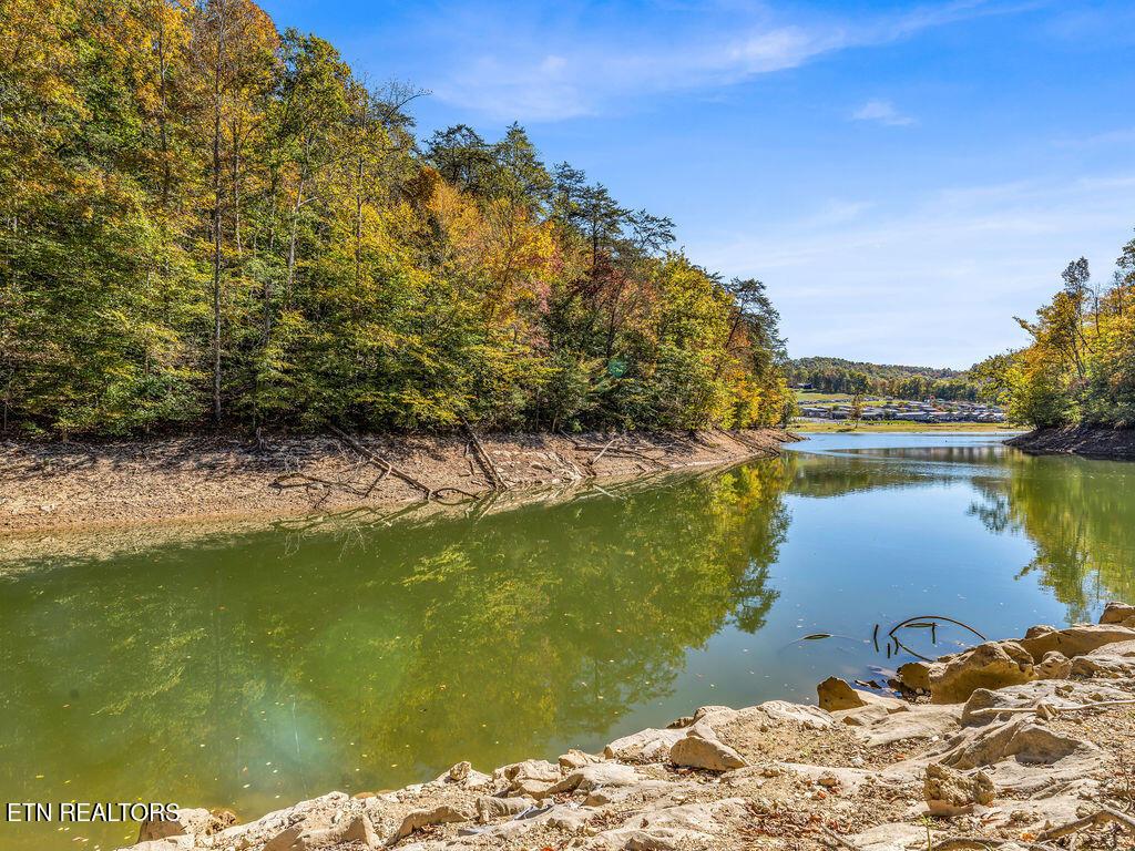 Norris Lake Real Estate - Image# 30