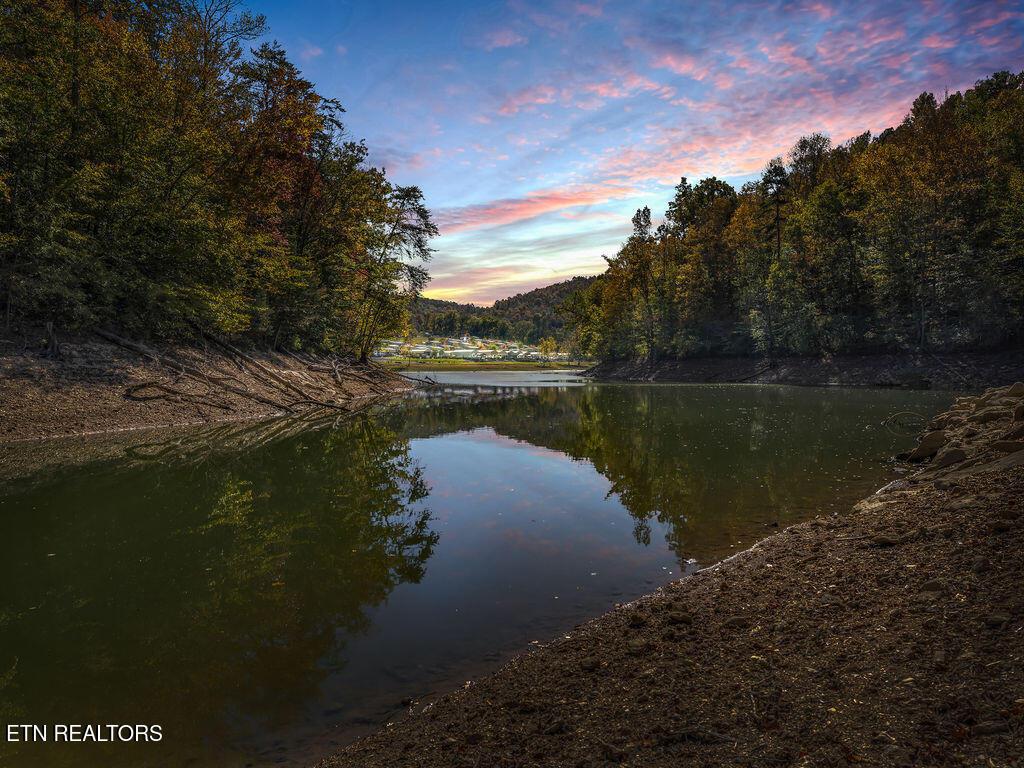 Norris Lake Real Estate - Image# 48